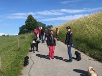 IMG 2640