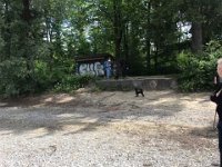 IMG 2670